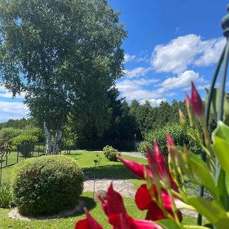 Διαμέρισμα Eva Mureck